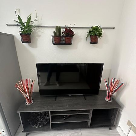 B&B Luna Rosa بيزا المظهر الخارجي الصورة