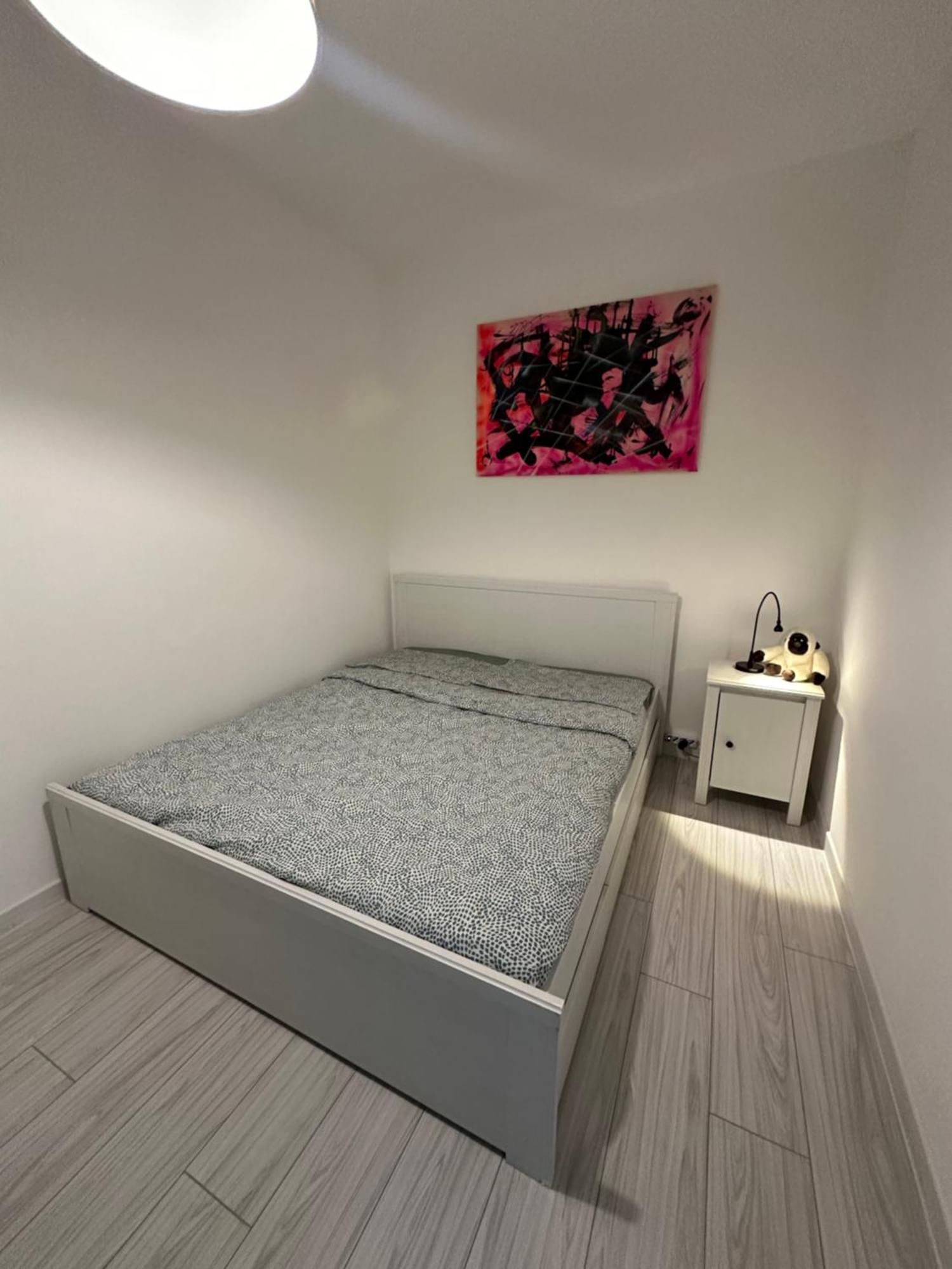 B&B Luna Rosa بيزا المظهر الخارجي الصورة